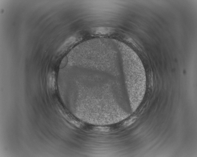 X0000062630328200601181726