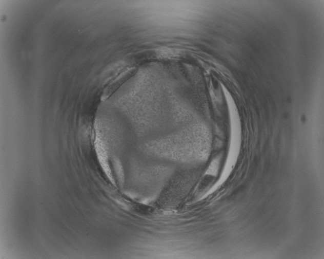 X0000062630329200601181726