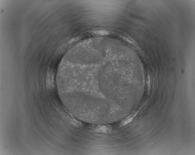 X0000062630330200601181726