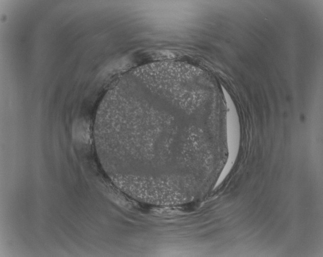 X0000062630331200601181726