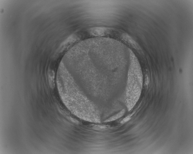 X0000062630332200601181726