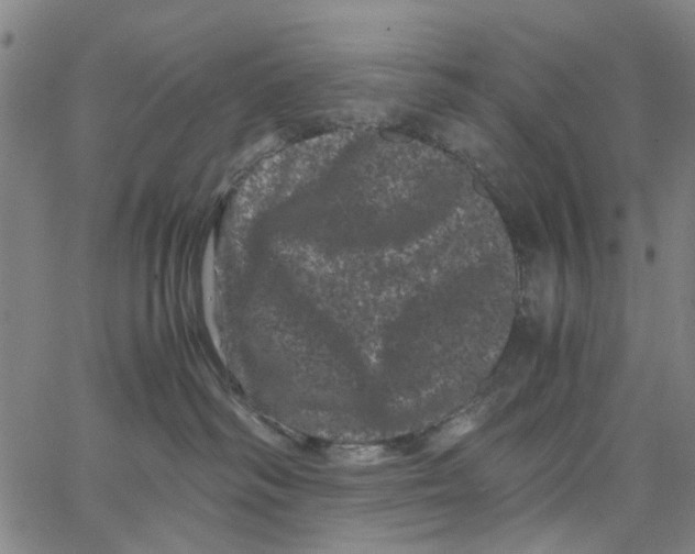 X0000062630334200601181726