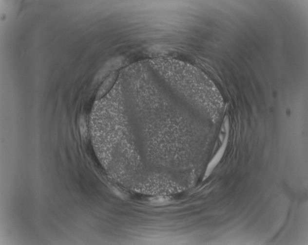 X0000062630335200601181726