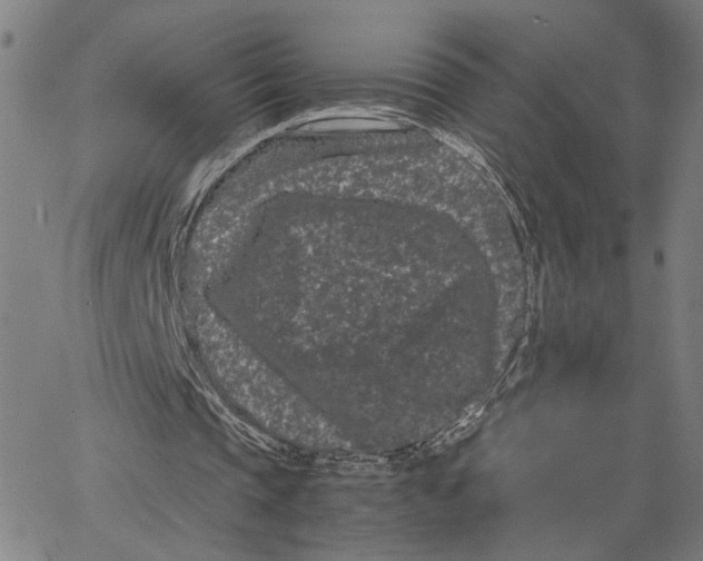 X0000062630337200601181725