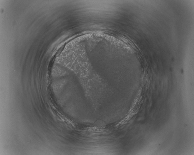 X0000062630338200601181725