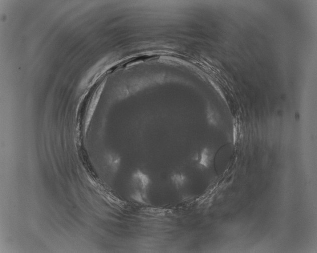 X0000062630339200601181725