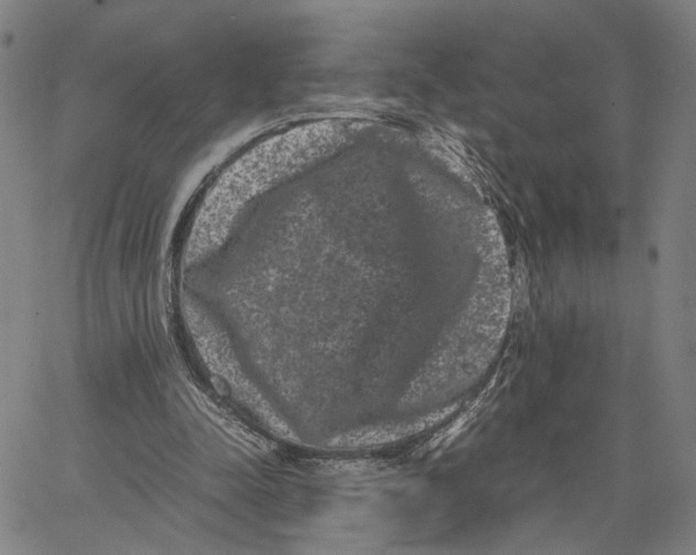 X0000062630342200601181725