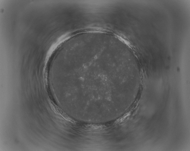 X0000062630343200601181725