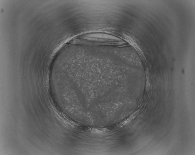 X0000062630346200601181725