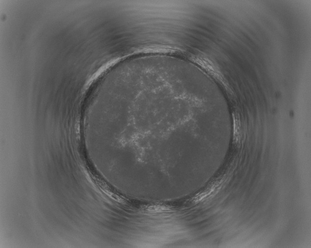 X0000062630348200601181725