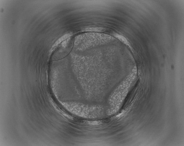 X0000062630349200601181725