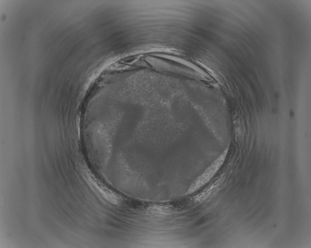 X0000062630350200601181725