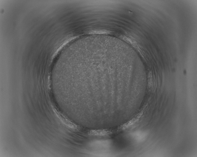 X0000062630351200601181725