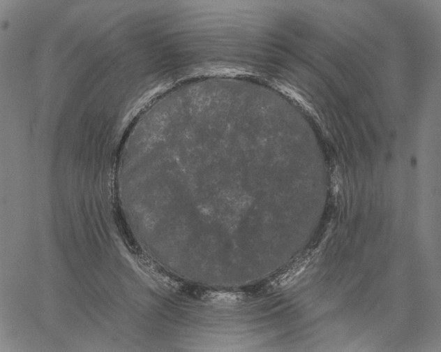 X0000062630352200601181725