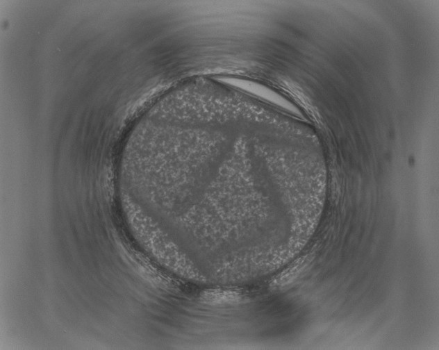 X0000062630354200601181725