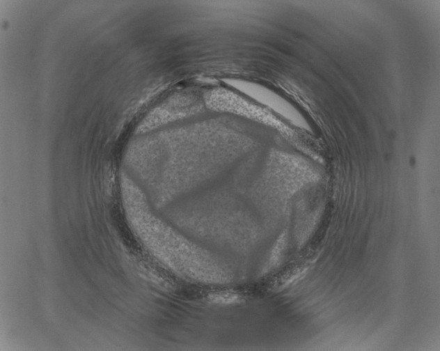 X0000062630355200601181725