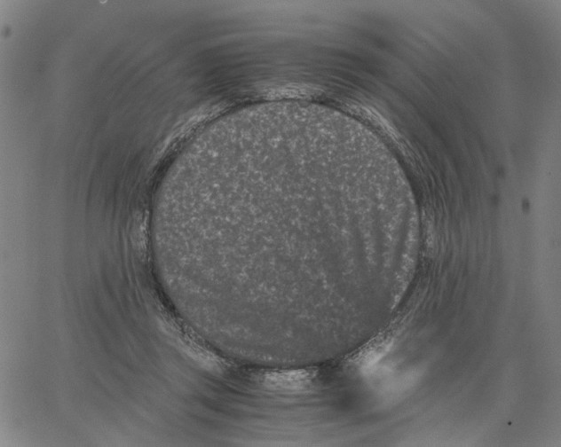 X0000062630357200601181725