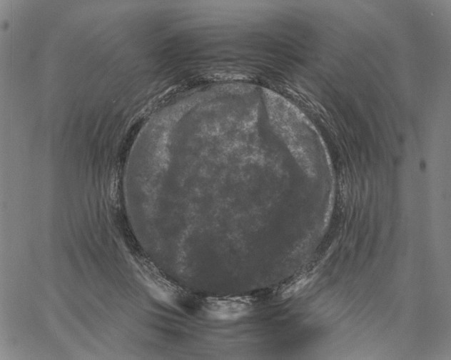 X0000062630359200601181725