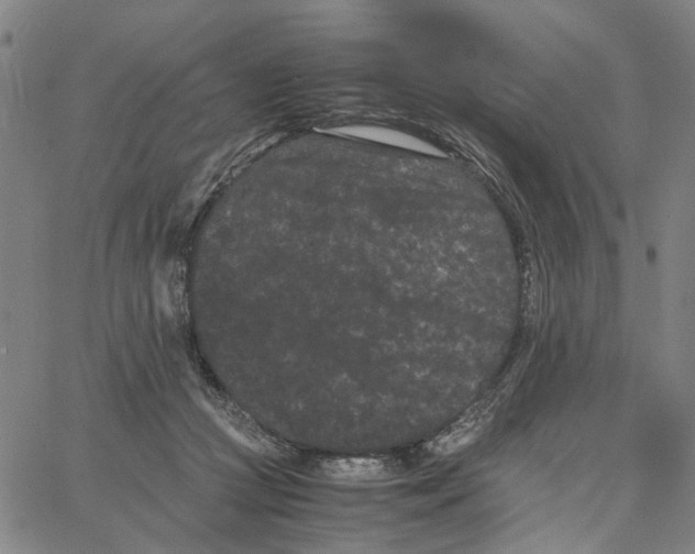 X0000062630361200601181725