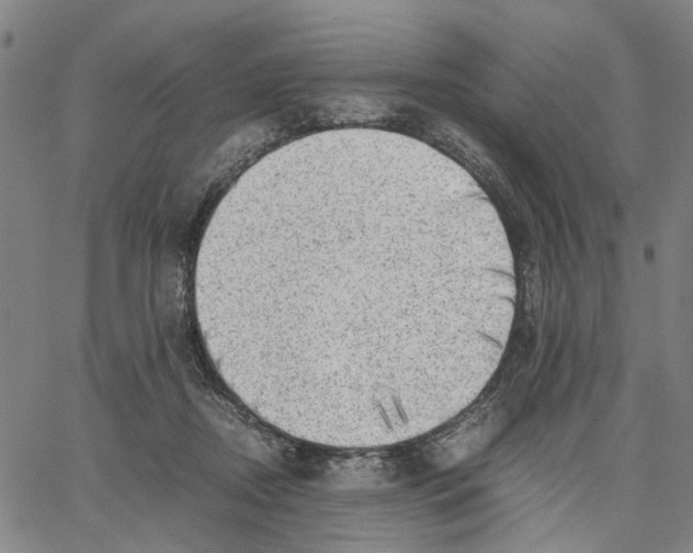 X0000062630362200601181725