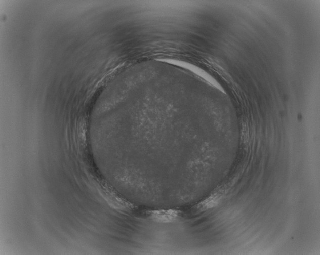 X0000062630363200601181725