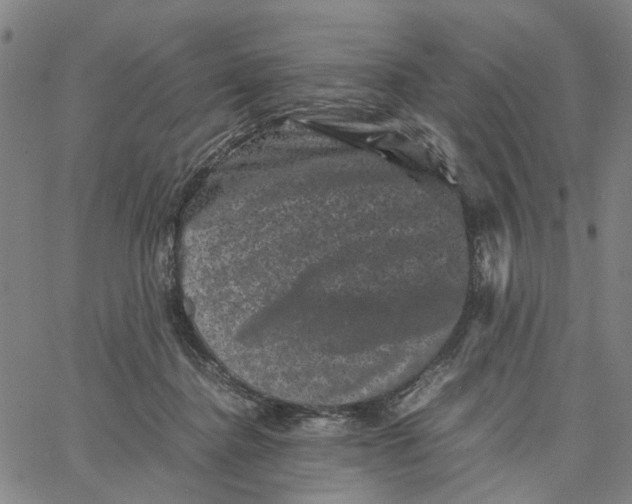 X0000062630364200601181725