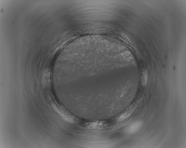 X0000062630366200601181726