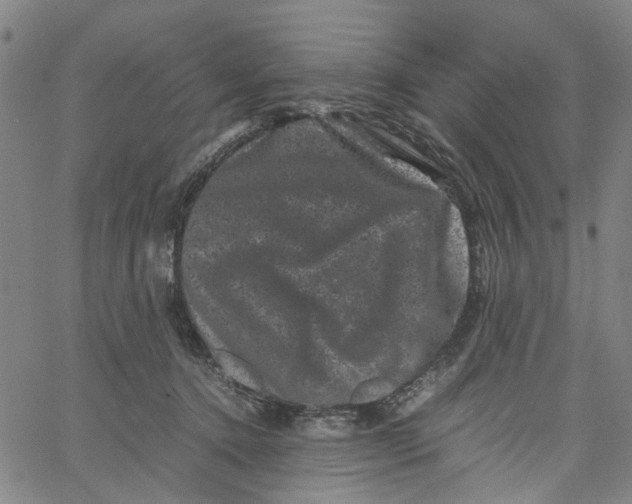 X0000062630368200601181726