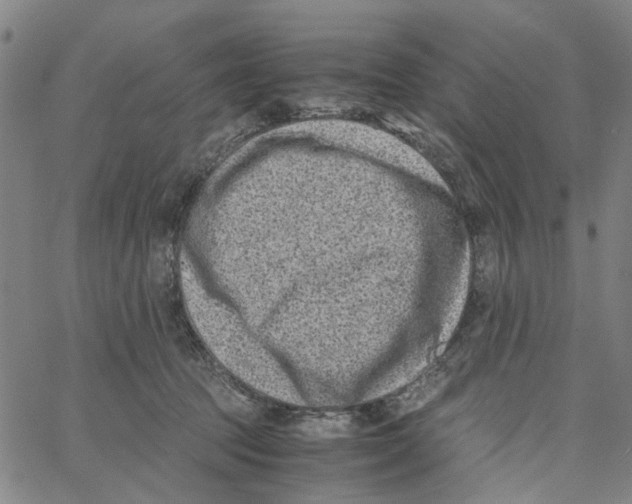 X0000062630369200601181726