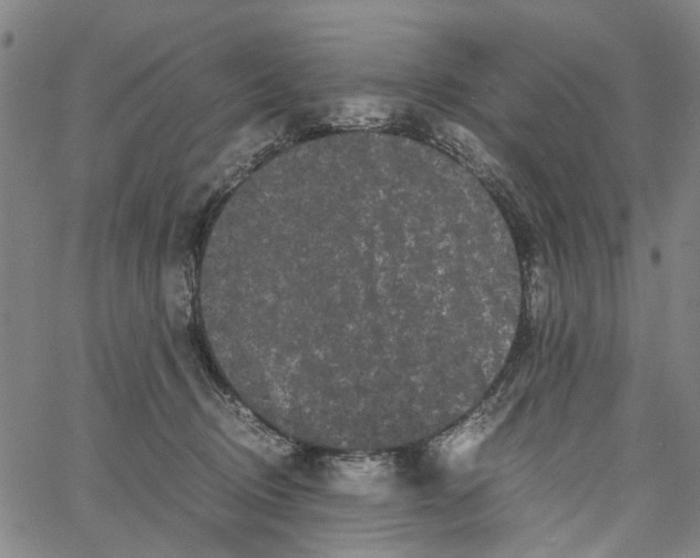 X0000062630370200601181726