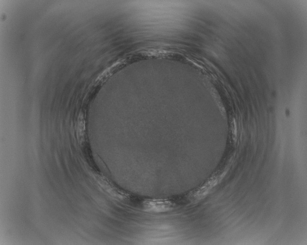 X0000062630372200601181726