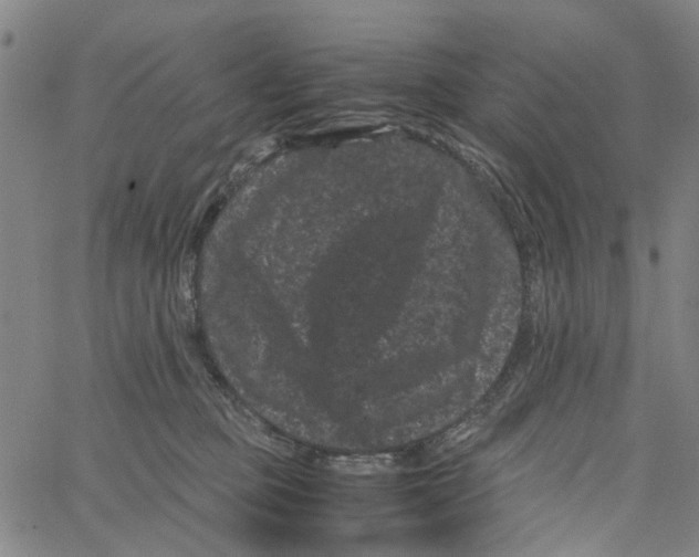 X0000062630373200601181726