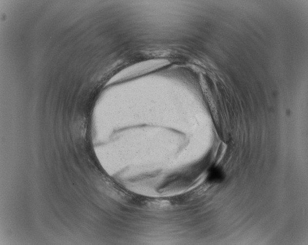 X0000062630374200601181726