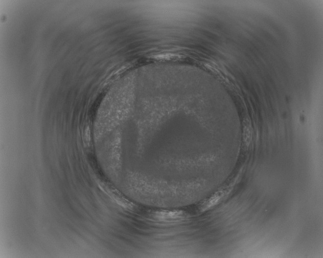 X0000062630375200601181726