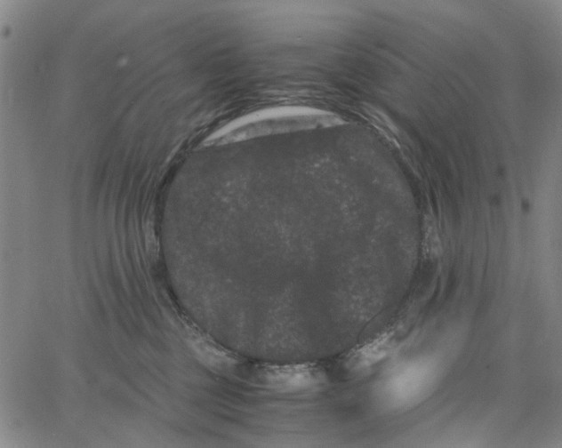 X0000062630377200601181726