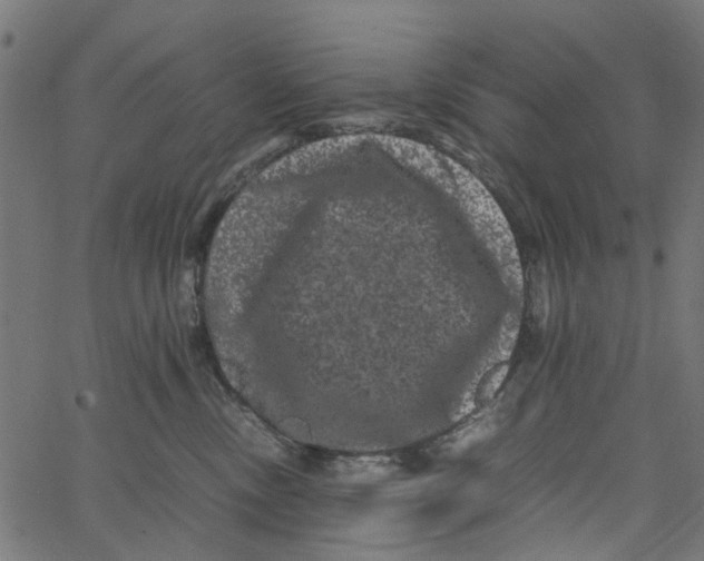 X0000062630378200601181726