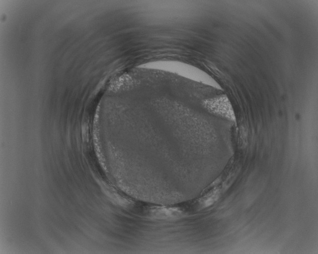 X0000062630379200601181726