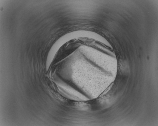 X0000062630380200601181726