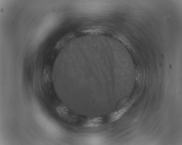 X0000062630382200601181726