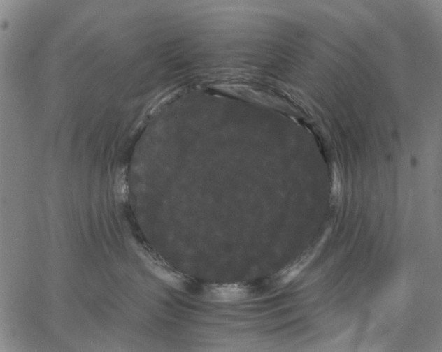 X0000062630383200601181726