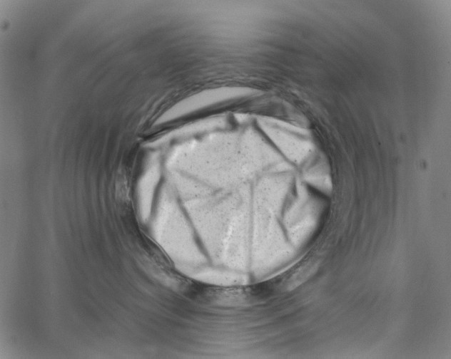 X0000062630384200601181726