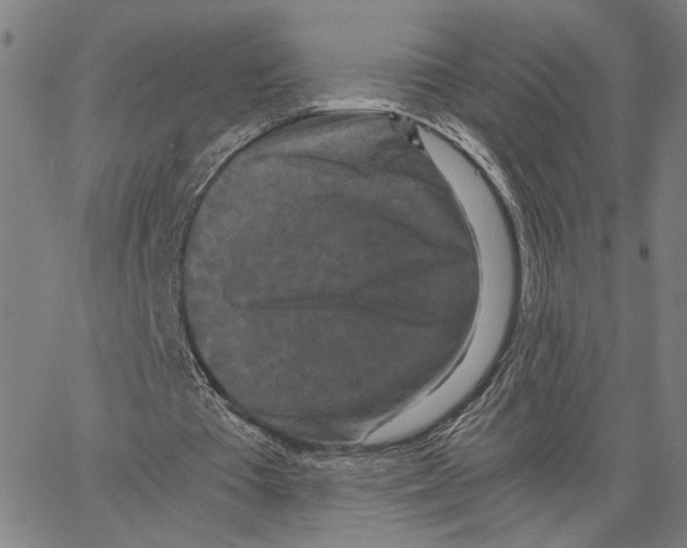 X0000062630385200601181725