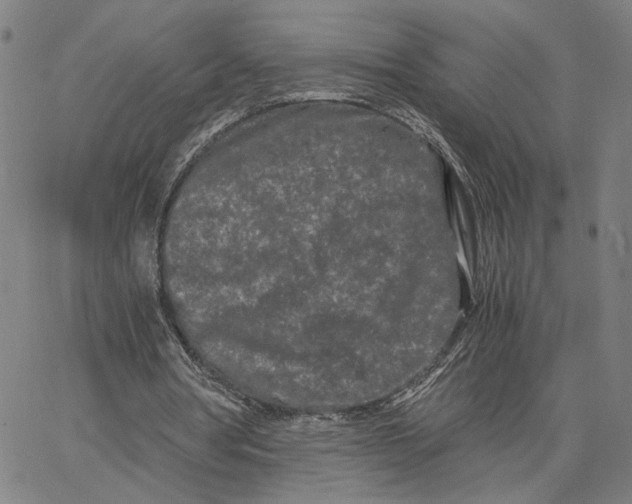 X0000062630386200601181725