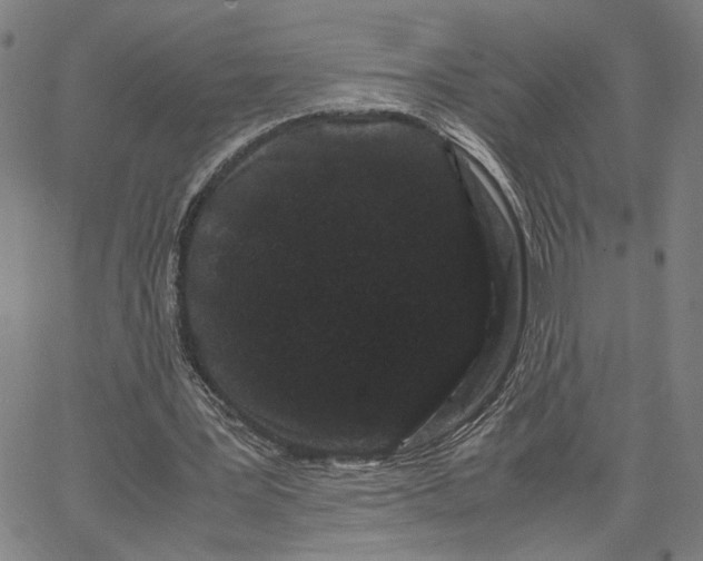 X0000062630387200601181725