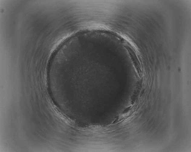 X0000062630391200601181725