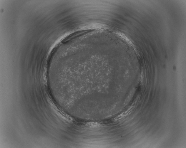 X0000062630392200601181725