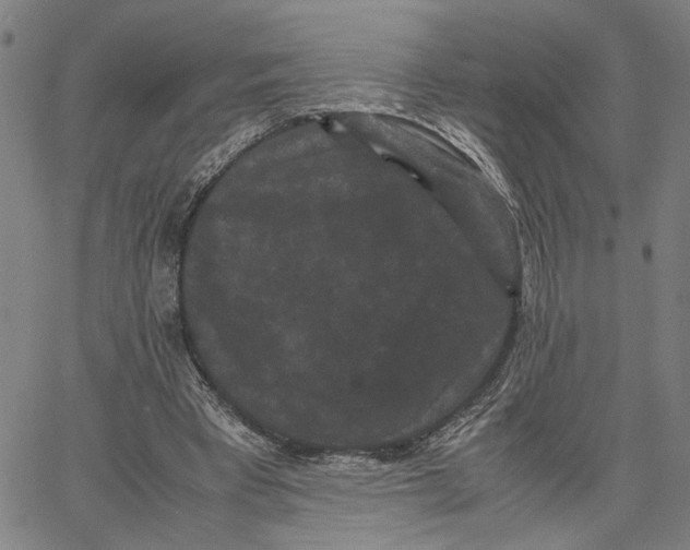 X0000062630393200601181725