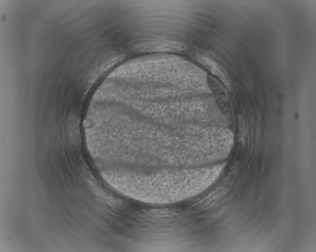 X0000062630394200601181725