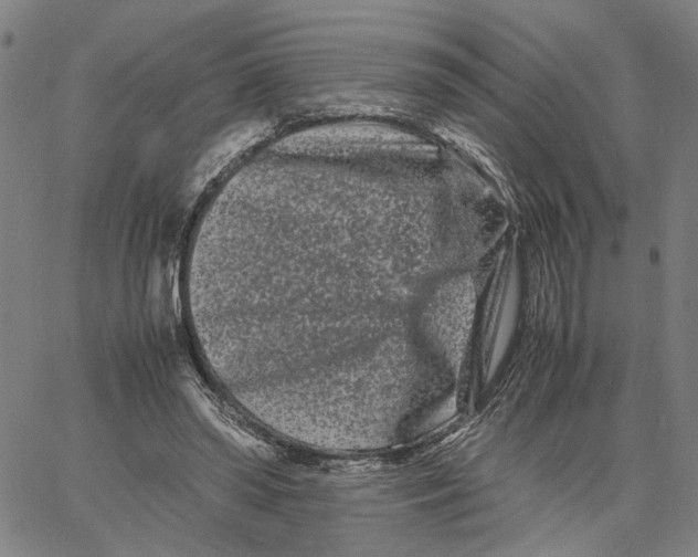 X0000062630398200601181725