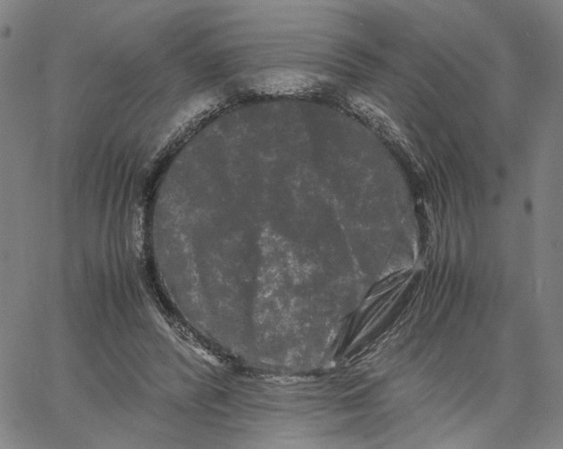 X0000062630400200601181725